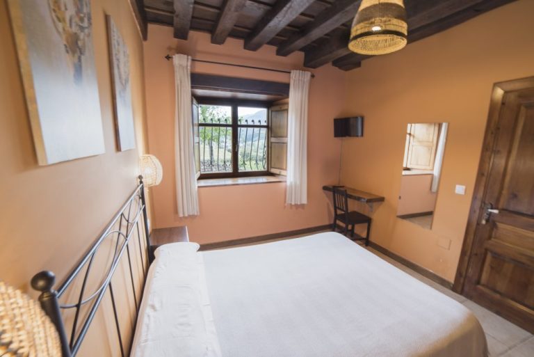 1683804613799-1024x684